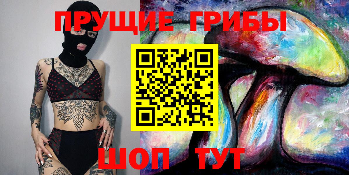 Галлюциногенные грибы Psilocybine cubensis  Вход с VPN  Вичуга 
